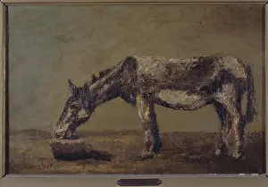 Courbet: The donkey, eating oats