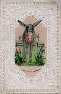 Thistles: Donkey in a field on a comic greetings card