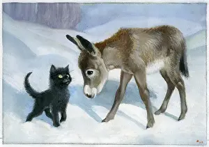 Heda: Donkey foal and black kitten in the snow