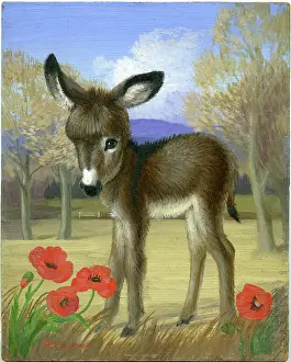 Heda: Donkey Foal with four poppies