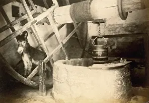 Carisbrooke: Donkey in the Well House, Carisbrooke Castle