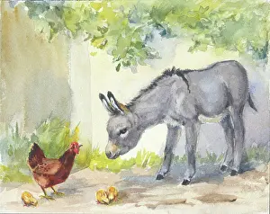 Orton: Donkey looking at a hen and three chicks