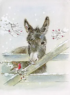 Matthes: Donkey looking over snowy Gate