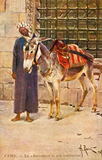 Stirrup: Donkey and his owner - Cairo, Egypt