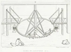 Stoned: DONKEY-POWERED MILL