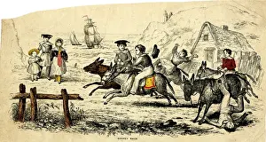 Donkeys: Donkey Race on the Beach