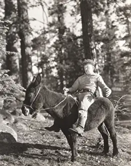 Casuals: Donkey ride