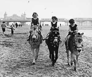Stirrups: Donkey Rides in Blackpool - 1965