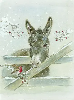 Matthes: Donkey & robin by Diane Matthes