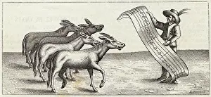 Serenade: Donkey Serenade