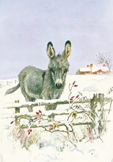 Paddock: Donkey in a snowy paddock by Mabel Gear