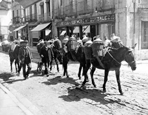 Salamanca: Donkey transport in Salamanca