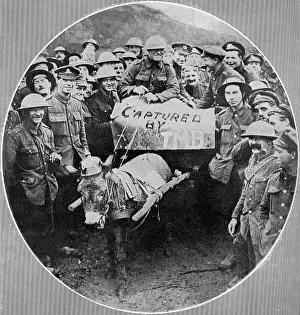 Paraded: Donkey wearing a pickelhaube, 1917