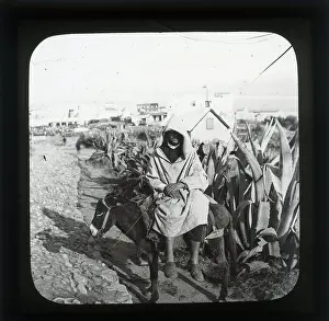 Alex Lambert Lantern Slide Collection: Donkeyman Tangier