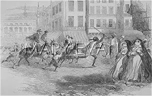 Consternation: DONKEYS IN ALEXANDRIA