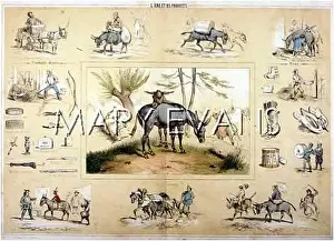 Posthumously: DONKEYS, ALL ASPECTS