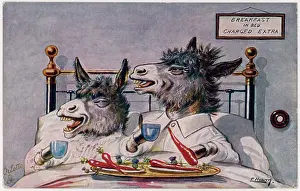 Lodging: DONKEYS BREAKFAST IN BED