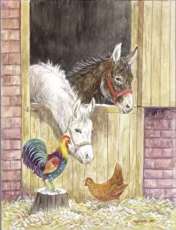 Donkeys and chickens at stable door