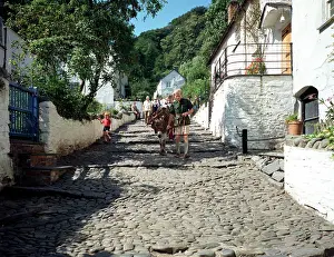 Clovelly: Donkeys, Clovelly