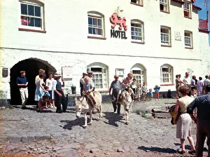 Clovelly: Donkeys, Clovelly