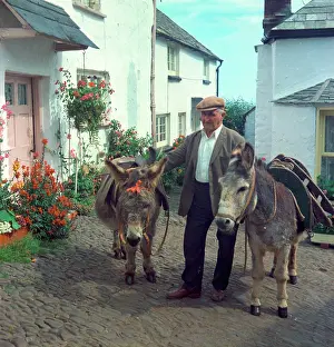 Clovelly: Donkeys, Clovelly
