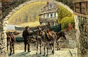 Clovelly: Donkeys of Clovelly, Devon