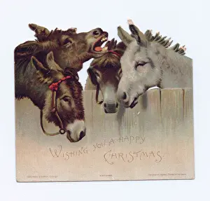 Docile: Four donkeys on a cutout Christmas card