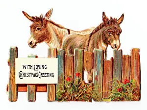 Docile: Two donkeys on a cutout Christmas card