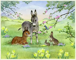 Lynes: Donkeys and rabbits in spring landscape