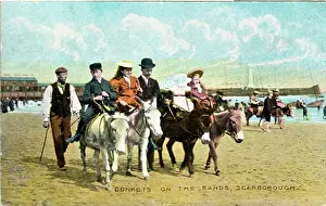 Donkeys: Donkeys on the Sands, Scarborough, Yorkshire