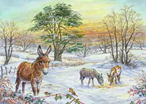 Brambles: Donkeys in snowy landscape with sunset