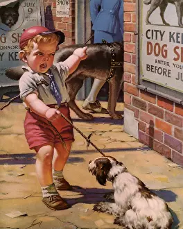 Canines: Don't be Bashful