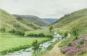 Doone: Doone Glen, Exmoor, Somerset