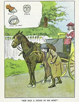 Hoof: Out of Doors -- horse with stone in hoof