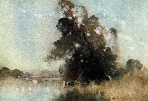Macquarie: Dora Creek