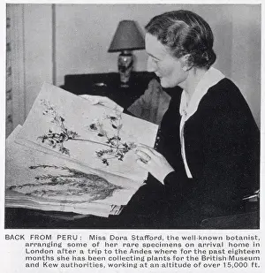 Nov24: Dora Stafford