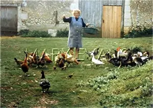 Dordogne: DORDOGNE FREE RANGE