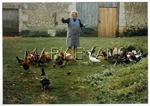 Dordogne: DORDOGNE POULTRY FED