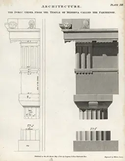 Longman: Doric order capital, column and base from the Parthenon