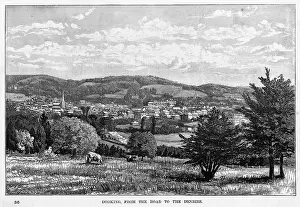 Dorking: DORKING