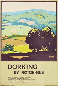 Extract: Dorking by Motor-bus