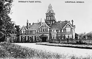 Dormans: Dorman's Park Hotel, Lingfield, Surrey