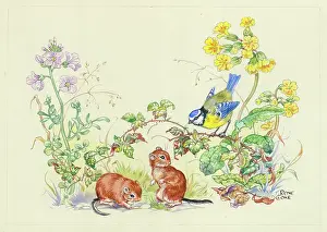 Brambles: Two dormice with blue tit and wild flowers - cowslips, bramb
