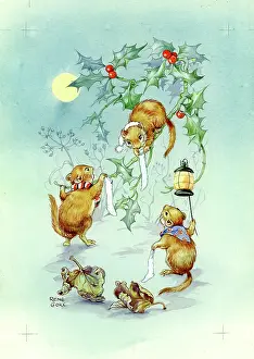 Cloke: Dormice with Christmas stockings
