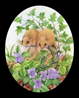 Rogerson: Two Dormice with Violets