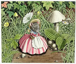 Dormice: Dormouse