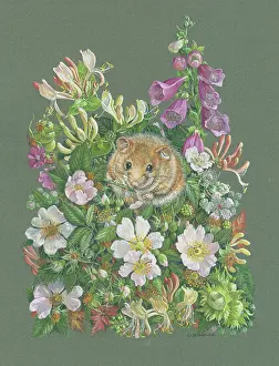 Dormouse: Dormouse in Spring Hedgerow