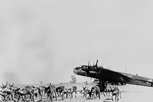 Graze: Dornier Do 17, 1941