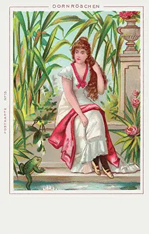 Dornroschen: Dornroschen - Sleeping Beauty