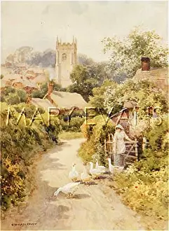 Bere: DORSET/BERE REGIS 1910